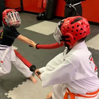 American Institute of Kenpo Picture 5