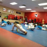 Sunrise Taekwondo Houghton ico