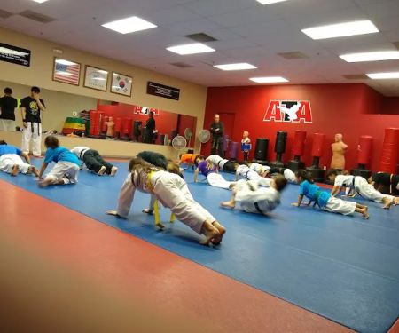 Sunrise Taekwondo Houghton