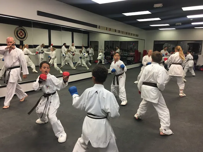 Nihon Karate School Picture 1