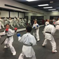 Nihon Karate School ico