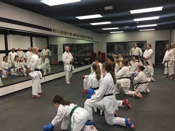 Nihon Karate School Picture 7