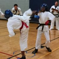 Vail Taekwon-Do Academy ico