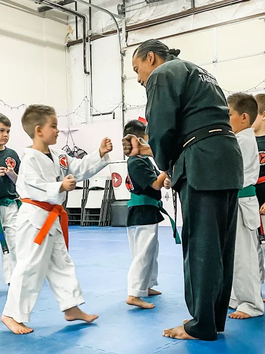 Mr. Cruz's Taekwondo and Self Defense Picture 2