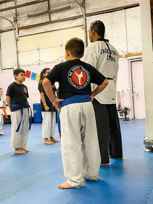 Mr. Cruz's Taekwondo and Self Defense Picture 7