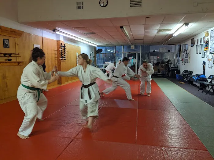 Sen Shin Kan Dojo Picture 3