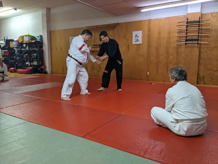 Sen Shin Kan Dojo Picture 1
