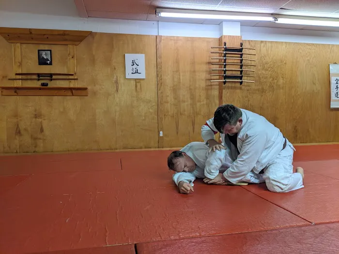 Sen Shin Kan Dojo Picture 7