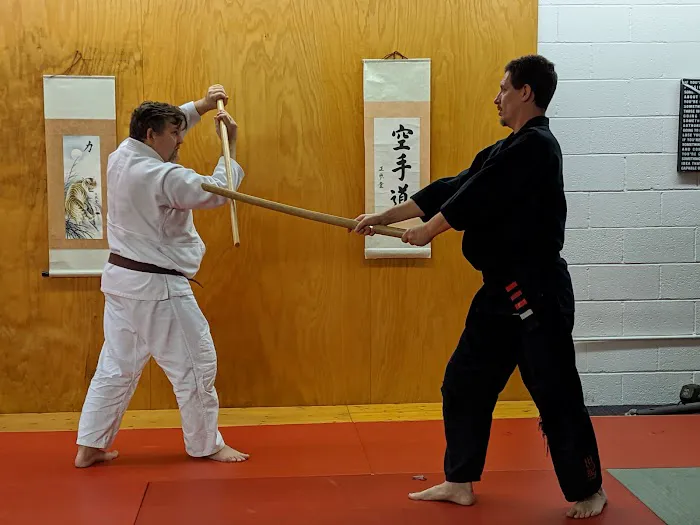 Sen Shin Kan Dojo Picture 5
