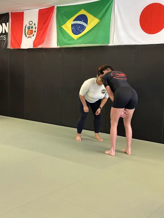 Python Martial Arts Picture 2