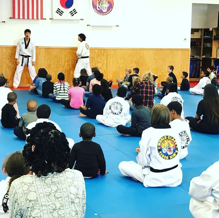 Tiger Jung's Taekwondo Picture 5