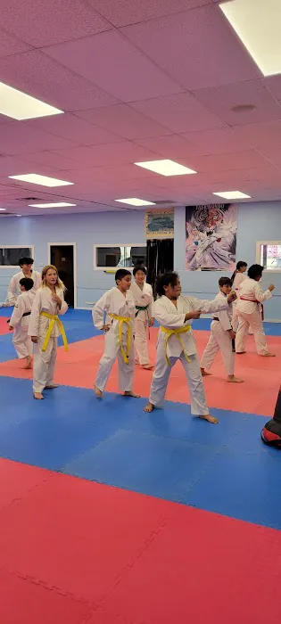 Grandmaster Sean Kim's Taekwondo Picture 1