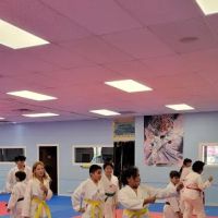 Grandmaster Sean Kim's Taekwondo ico