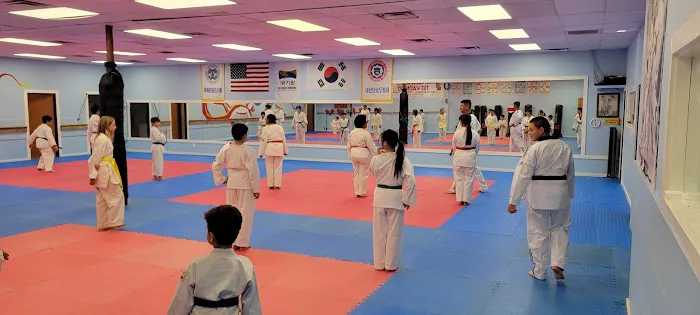 Grandmaster Sean Kim's Taekwondo Picture 4