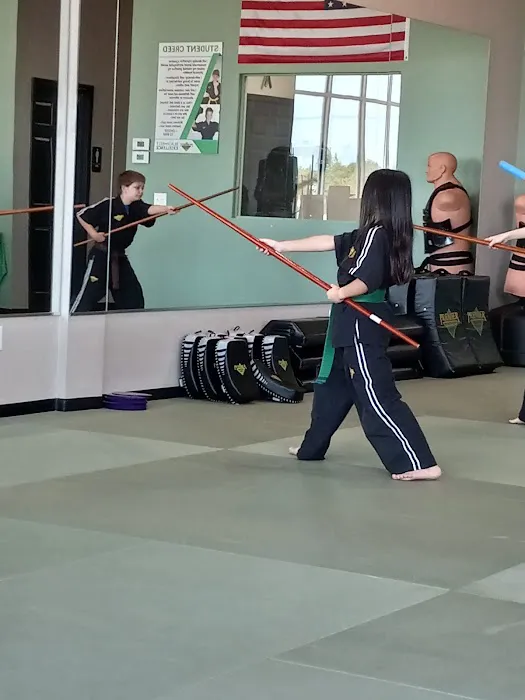 Premier Martial Arts North Oklahoma City Picture 2