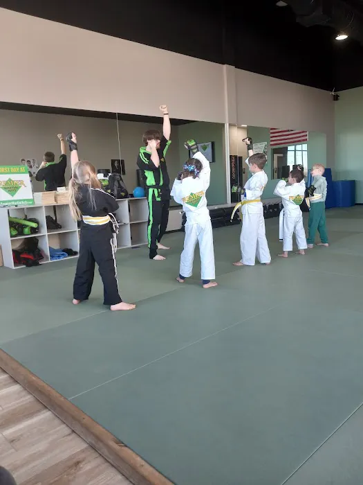 Premier Martial Arts North Oklahoma City Picture 4