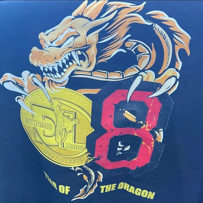 Dynamic Leaders Martial Arts Picture 10