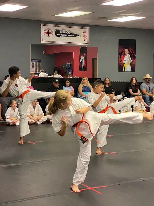 Core Martial Arts & Fitness Picture 3