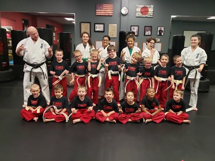 Core Martial Arts & Fitness Picture 8