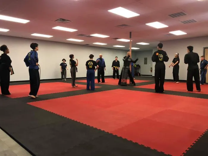 Revolution Martial Arts Picture 4