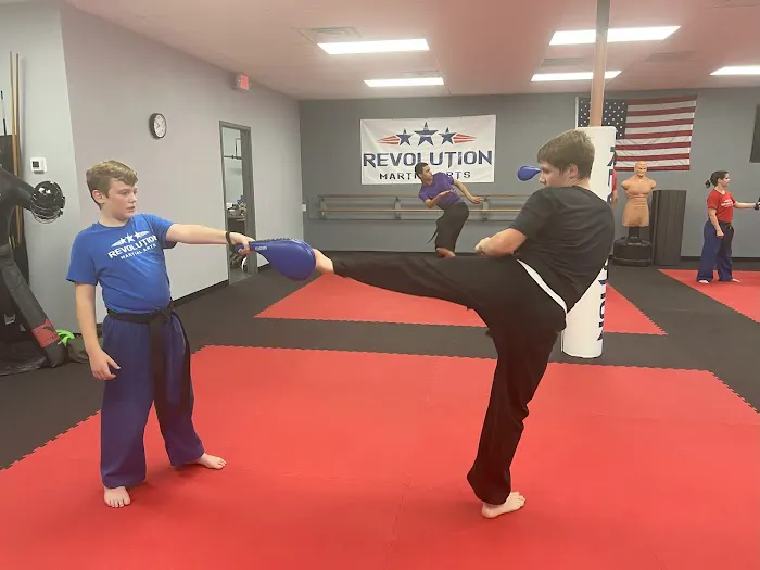 Revolution Martial Arts Picture 8