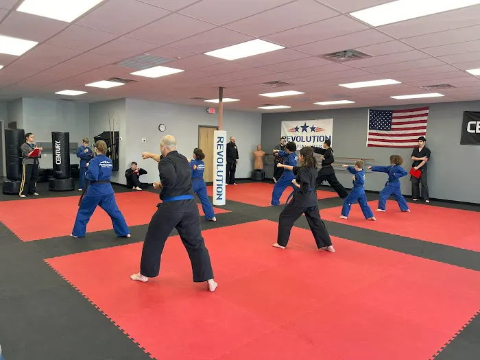 Revolution Martial Arts Picture 10