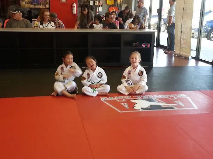 Dynamic ATA Martial Arts, LLC Picture 2