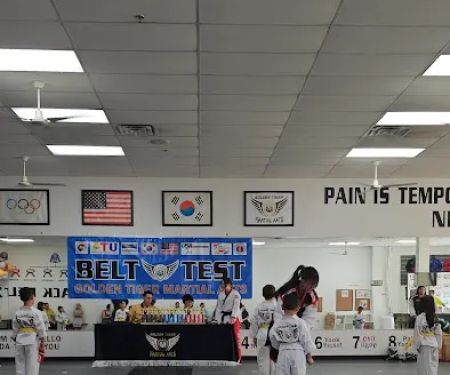Tiger Jungu2019s Taekwondo Moore