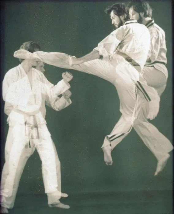 National Karate & Tae Kwon Do, Inc. Picture 1