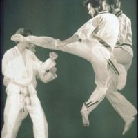 National Karate & Tae Kwon Do, Inc. ico