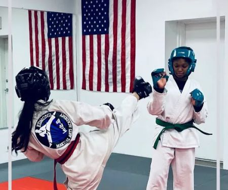 Edmond Martial Arts Academy