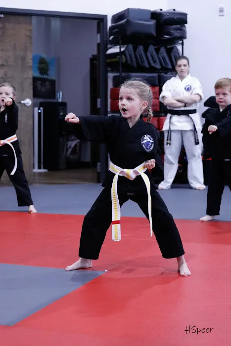 Edmond Martial Arts Academy Picture 8