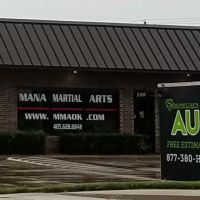 Mana Martial Arts ico