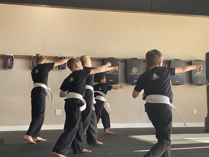 Straight Path Martial Arts Picture 8