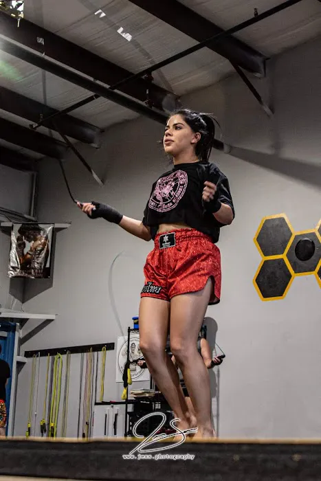 Killer Bees Kickboxing and Mixed Martial Arts Picture 5