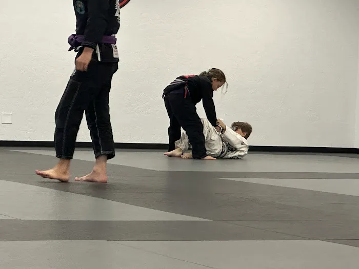 National Martial Arts Picture 3