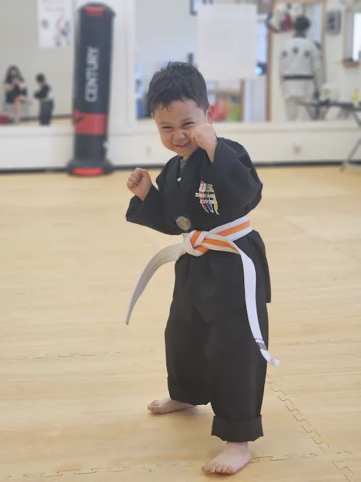 USA Taekwondo Center Picture 5