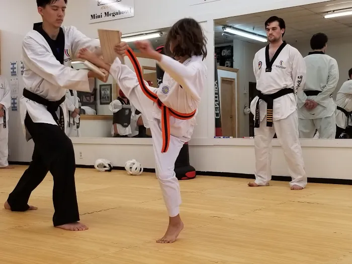 USA Taekwondo Center Picture 6
