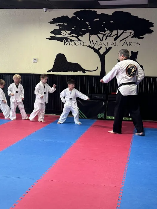 Moore Martial Arts Picture 7