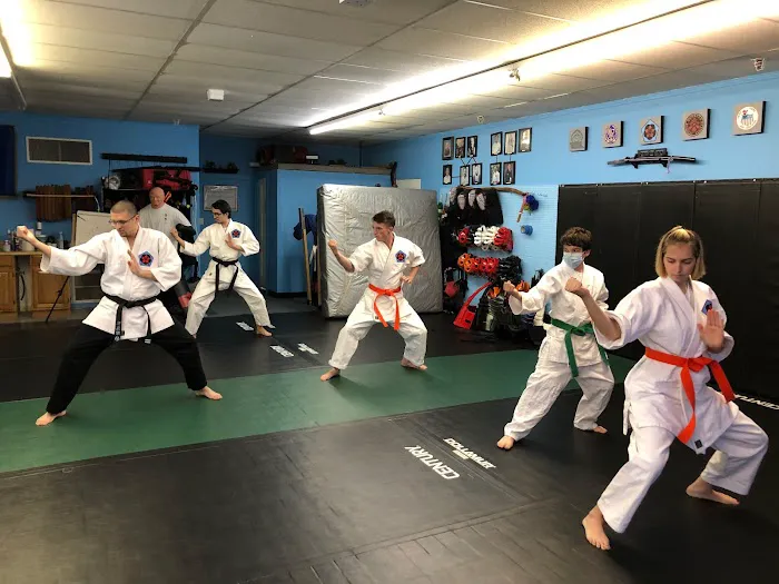 Hoshin Dojo Picture 9