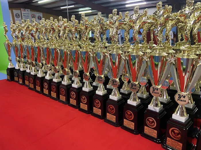 Grand Master Won's Taekwondo Picture 10