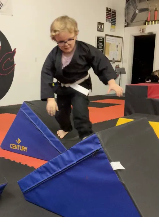 The Martial Arts Center Picture 9