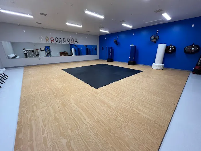Momentum Martial Academy Picture 2