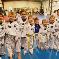 Hero Martial Arts ico