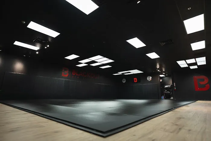 Blackout Jiu Jitsu Picture 2