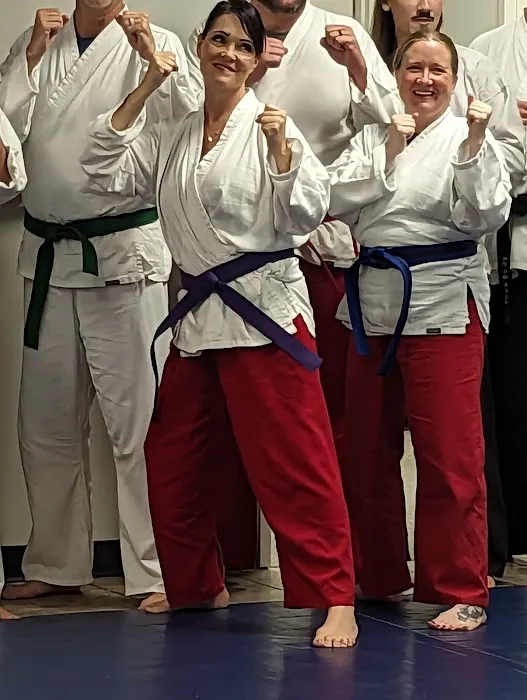 Vision Martial Arts Academy Picture 4