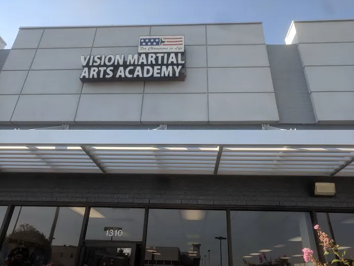 Vision Martial Arts Academy Picture 1