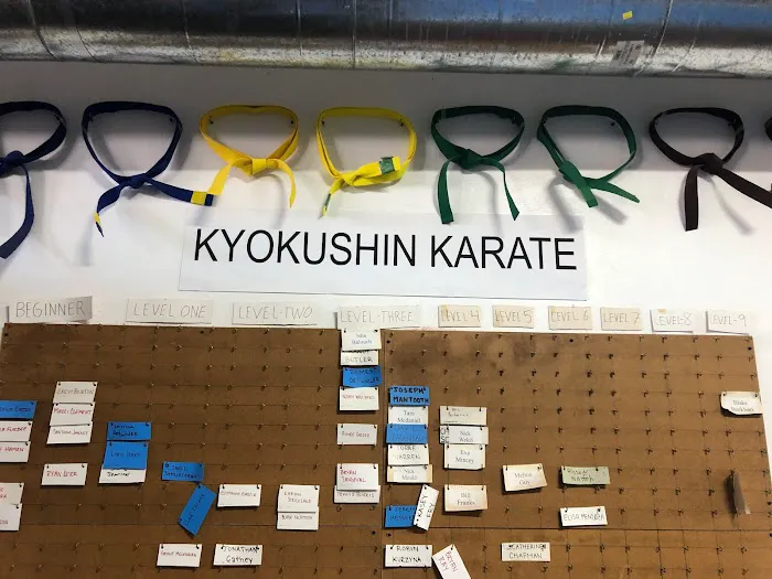 Conan's Kick Boxing Karate Picture 1