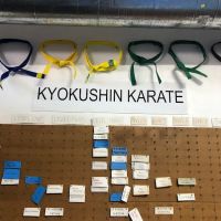 Conan's Kick Boxing Karate ico