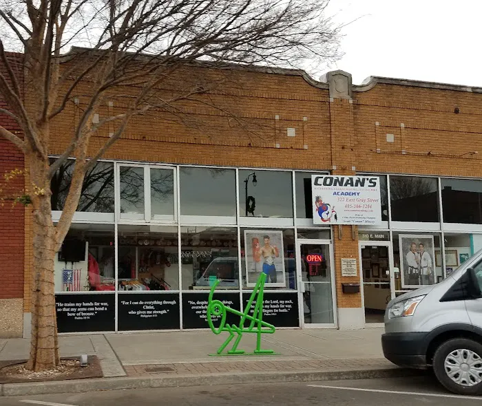 Conan's Kick Boxing Karate Picture 10